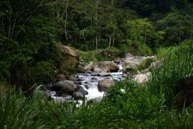 Stream in Boquete, Panama – Best Places In The World To Retire – International Living